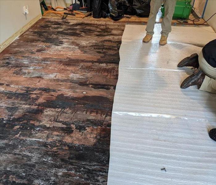 SERVPRO technicians in room with moldy subfloor