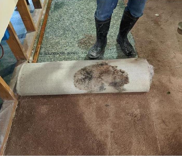 Carpet underside with mold infestation